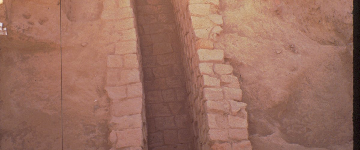 Harappa excavation 5