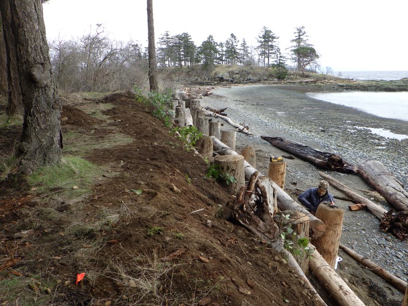 Shoreline protection wall on Galiano Island, BC