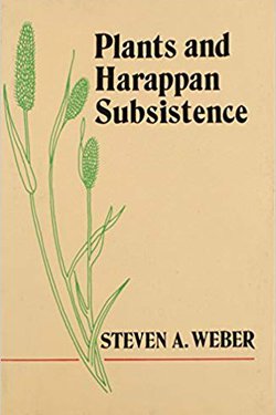 Plants and Harappan Subsistence