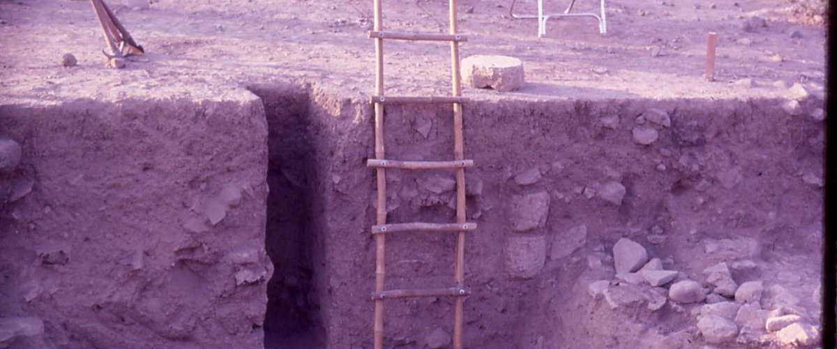 Rojdi excavation 8